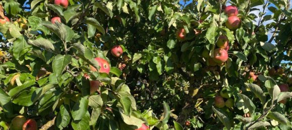 Land in Erfurt, Germany No. 267776 14