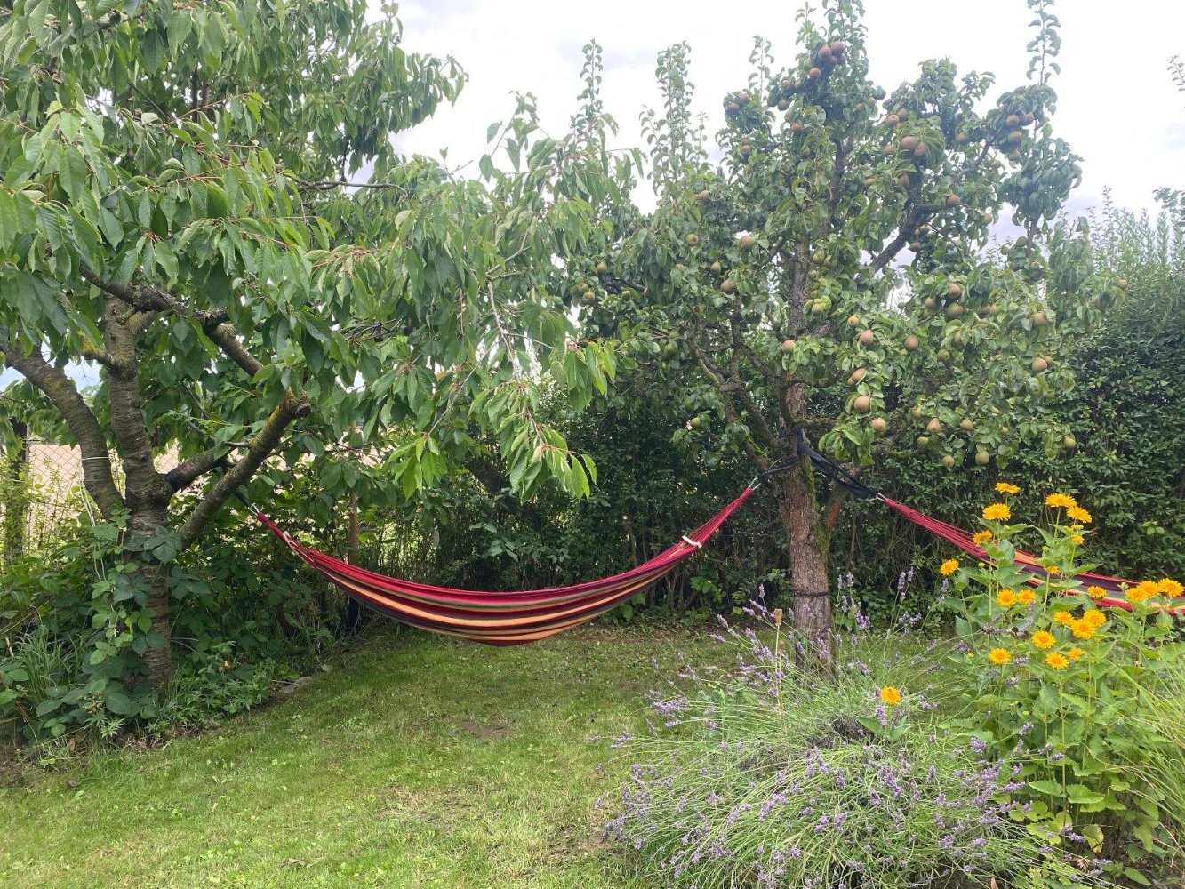  Land in Erfurt, Germany No. 267776