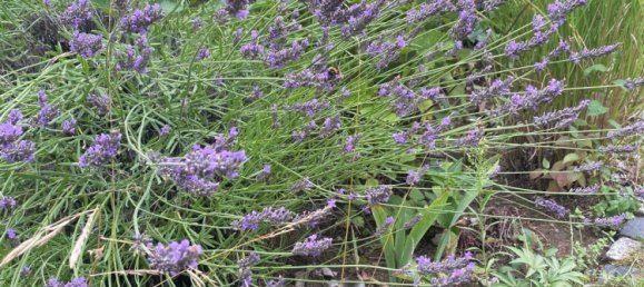 Land in Erfurt, Germany No. 267776 11