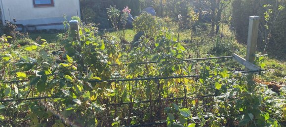 Land in Erfurt, Germany No. 267776 10