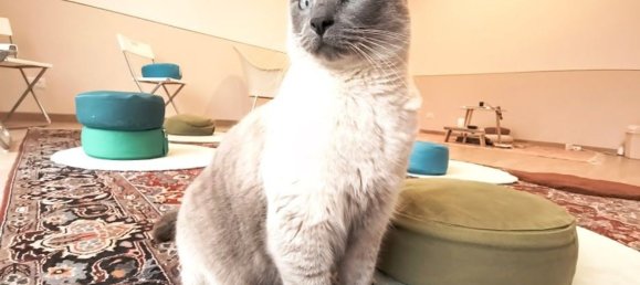 8غرفة منزل في Ferrara, Italy رقم 135791 23