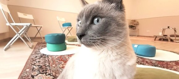 8غرفة منزل في Ferrara, Italy رقم 135791 3