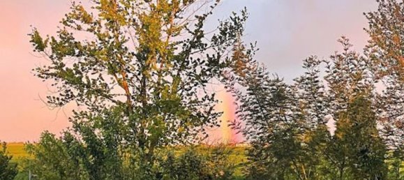 8غرفة منزل في Ferrara, Italy رقم 135791 50