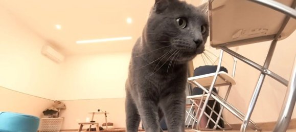 8غرفة منزل في Ferrara, Italy رقم 135791 10