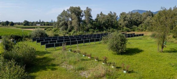 Terreno em Anif, Austria 6041 m² N.º 238321 4