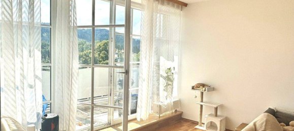 7 rooms House in Mariazell, Austria No. 197022 3