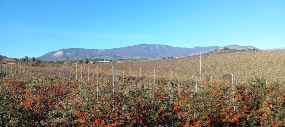 Дом с 7 комнатами в Куньоли, Италия № 208073 10