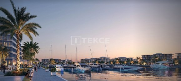 5 chambres Villa à Abu Dhabi, UAE No. 95647 19