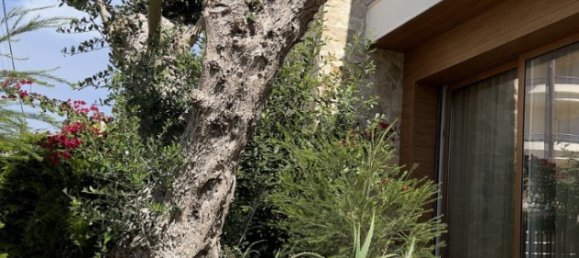 6 bedrooms House in Sao Martinho do Porto, Portugal No. 355243 8