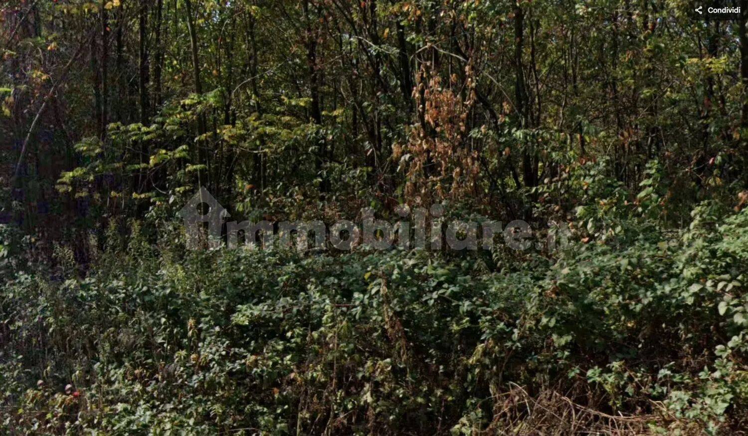 Terreno em Gorla Minore, Italy 10000 m² N.º 341974