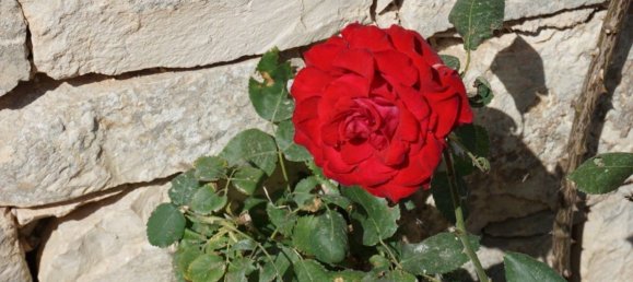 Дом с 6 спальнями в Модика, Италия № 360789 18