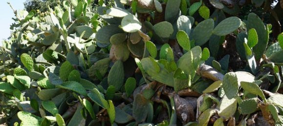 Дом с 6 спальнями в Модика, Италия № 360789 20