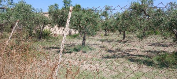 Grundstück in Castelvetrano, Italy 10280m², Nr. 296443 5