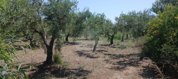 Grundstück in Castelvetrano, Italy 10280m², Nr. 296443 6