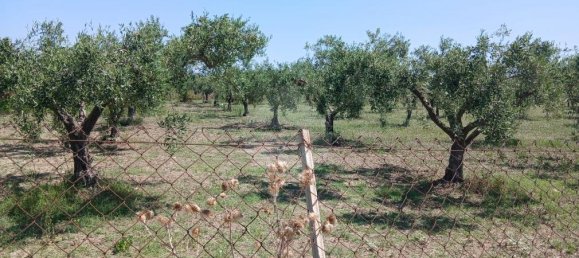 Grundstück in Castelvetrano, Italy 10280m², Nr. 296443 9