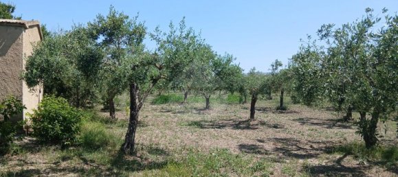 Grundstück in Castelvetrano, Italy 10280m², Nr. 296443 7
