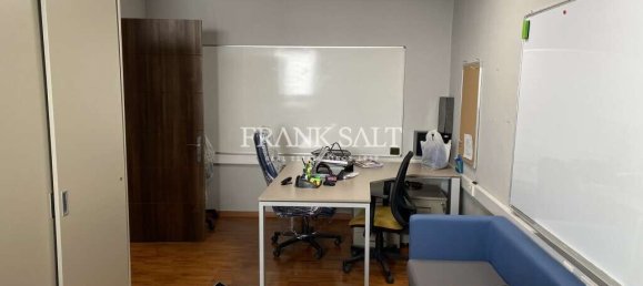  Office in Msida, Malta No. 13161 4