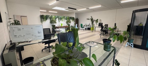 160m² Office in Udine, Italy No. 310882 4