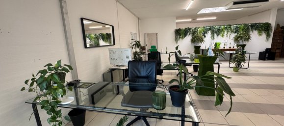 160m² Office in Udine, Italy No. 310882 5