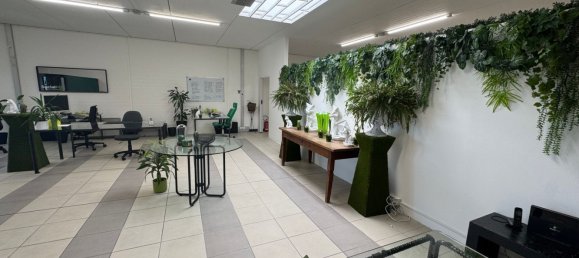 160m² Office in Udine, Italy No. 310882 6