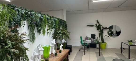 160m² Office in Udine, Italy No. 310882 15