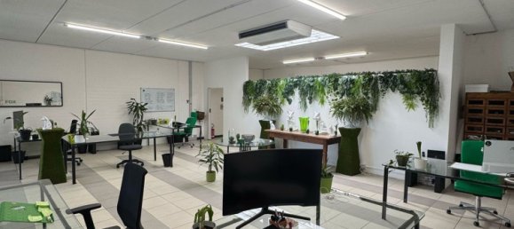 160m² Office in Udine, Italy No. 310882 9