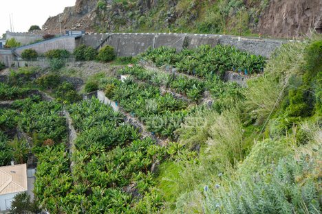 6885m² Land in Calheta, Portugal No. 141156