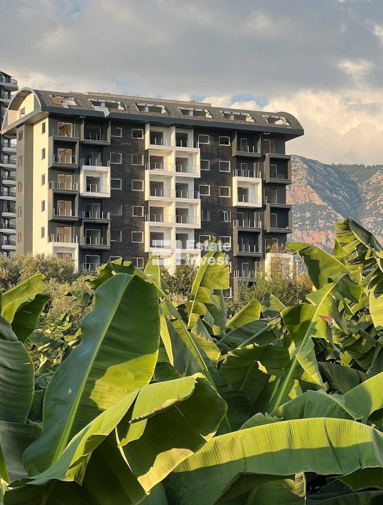 Apartment 1+1 in Alanya, Turkey No. 23745