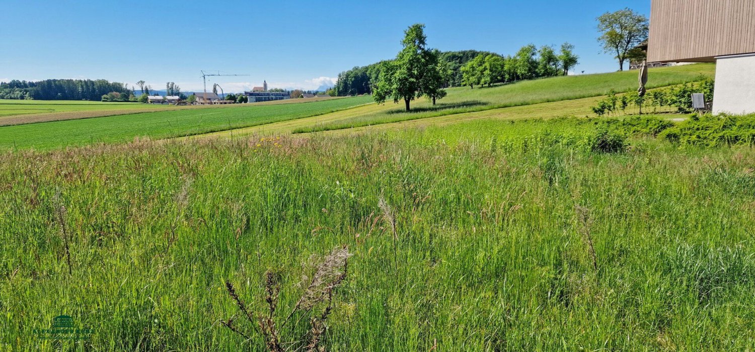 Terreno en Moosdorf, Austria No. 127933