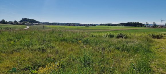 Terreno en Moosdorf, Austria No. 127933 3