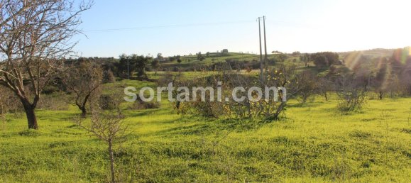 Terreno em Lagoa, Portugal 10000 m² N.º 87136 7