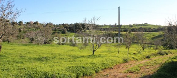 Terreno em Lagoa, Portugal 10000 m² N.º 87136 6