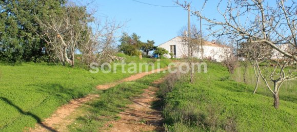 Terreno em Lagoa, Portugal 10000 m² N.º 87136 4