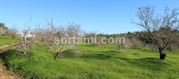 Terreno em Lagoa, Portugal 10000 m² N.º 87136 2