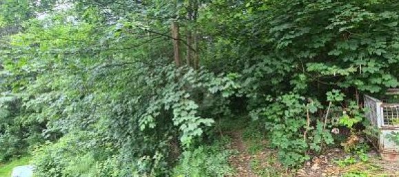 Terrain à Kronach, Germany 1802m² No. 229868 2