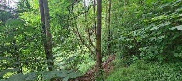 Terrain à Kronach, Germany 1802m² No. 229868 3