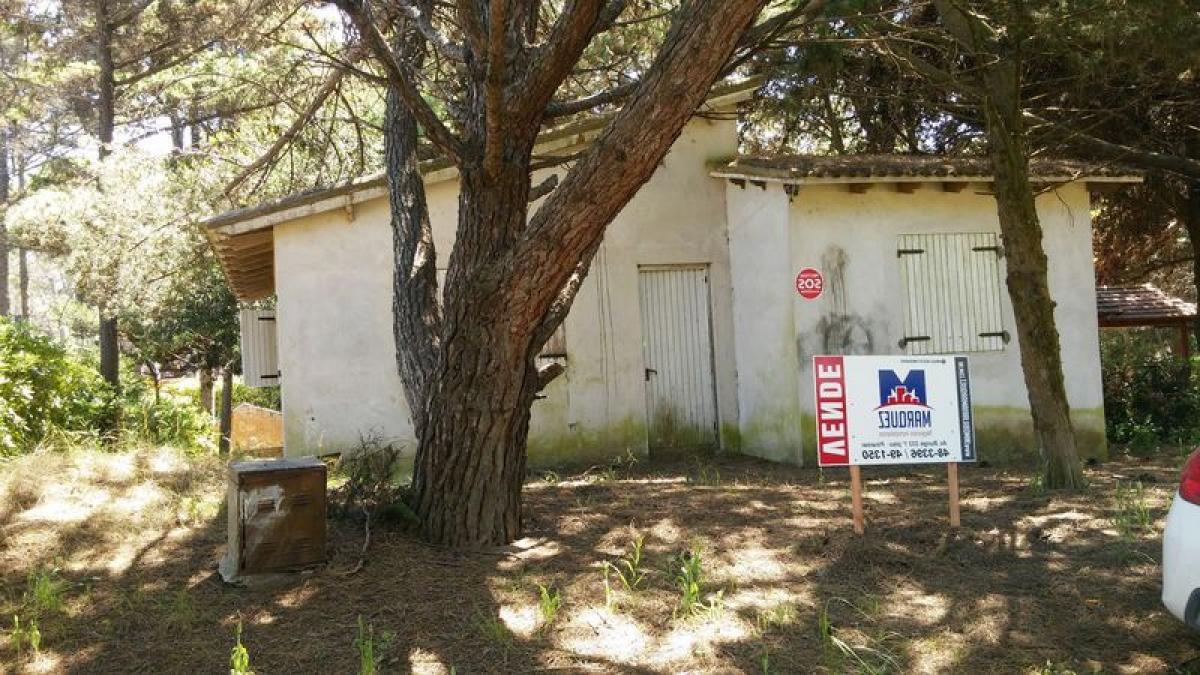 Studio in Mar del Plata, Argentina No. 68653