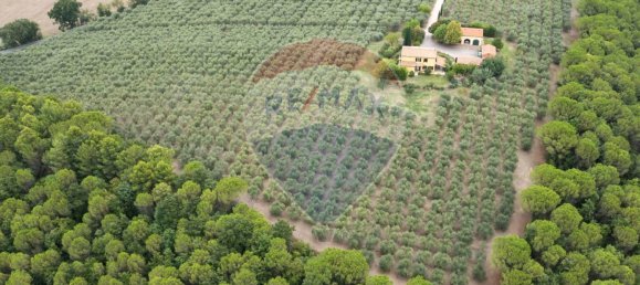 Casa T4 em Morrovalle, Italy N.º 319459 12