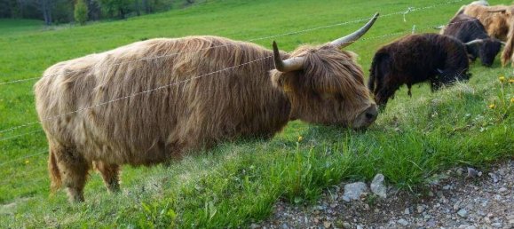 Casa de 3 habitaciónes en Kindberg, Austria No. 249299 21