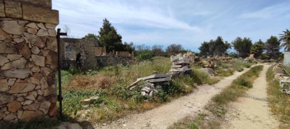 3 rooms Villa in Sannicola, Italy No. 17490 23