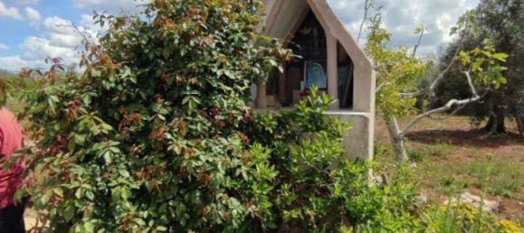 3 rooms Villa in Sannicola, Italy No. 17490 15