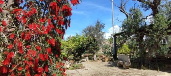 3 rooms Villa in Sannicola, Italy No. 17490 67