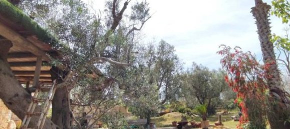 3 rooms Villa in Sannicola, Italy No. 17490 4