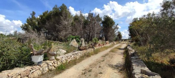 3 rooms Villa in Sannicola, Italy No. 17490 60