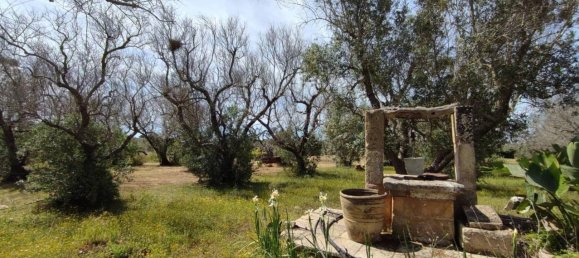 3 rooms Villa in Sannicola, Italy No. 17490 73