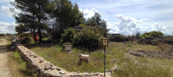 3 rooms Villa in Sannicola, Italy No. 17490 30