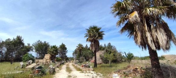 3 rooms Villa in Sannicola, Italy No. 17490 12