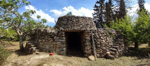 3 rooms Villa in Sannicola, Italy No. 17490 71