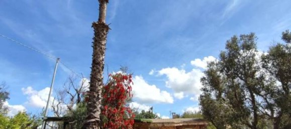 3 rooms Villa in Sannicola, Italy No. 17490 39