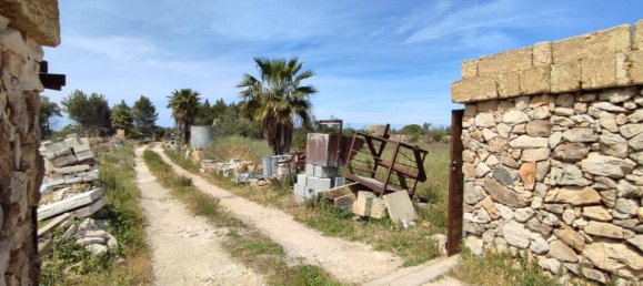 3 rooms Villa in Sannicola, Italy No. 17490 21